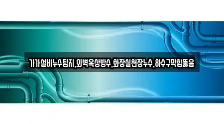 가가설비누수탐지,외벽옥상방수,화장실천장누수,하수구막힘뚫음
