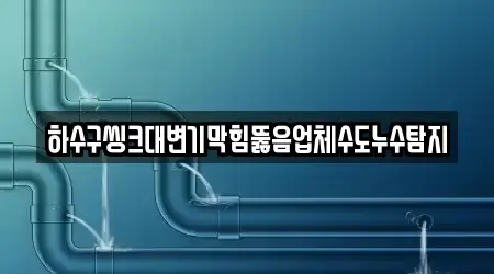 하수구씽크대변기막힘뚫음업체수도누수탐지
