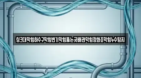 싱크대막힘하수구막힘변기막힘뚫는곳배관막힘정화조막힘누수탐지