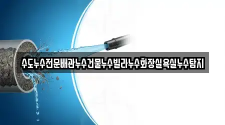 수도누수전문배관누수건물누수빌라누수화장실욕실누수탐지