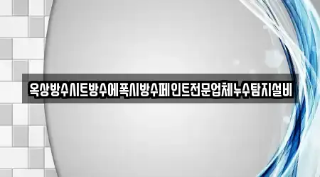 옥상방수시트방수에폭시방수페인트전문업체누수탐지설비