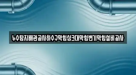 누수탐지배관공사하수구막힘싱크대막힘변기막힘설비공사