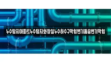 누수탐지아파트누수탐지화장실누수하수구막힘변기뚫음변기막힘