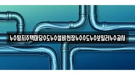 누수탐지주택마당수도누수설비천장누수수도누수보일러누수공사