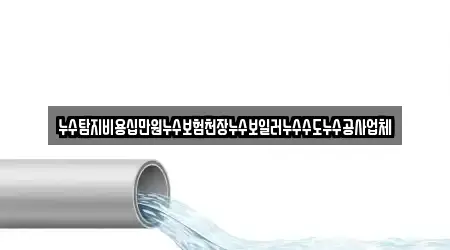 누수탐지비용십만원누수보험천장누수보일러누수수도누수공사업체
