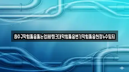 하수구막힘뚫음뚫는업체씽크대막힘뚫음변기막힘뚫음천정누수탐지