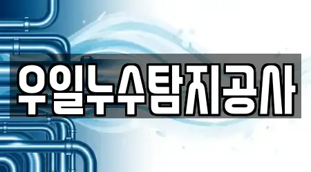 우일누수탐지공사