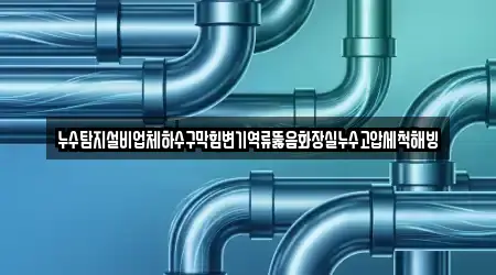 누수탐지설비업체하수구막힘변기역류뚫음화장실누수고압세척해빙