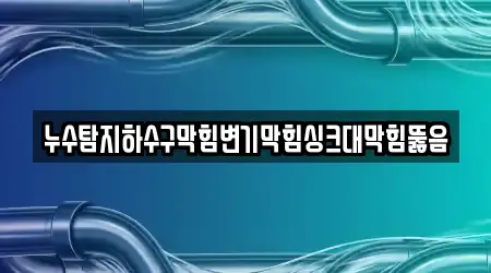 누수탐지하수구막힘변기막힘싱크대막힘뚫음