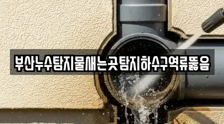 부산누수탐지물새는곳탐지하수구역류뚫음