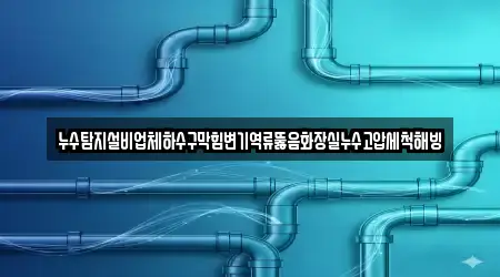 누수탐지설비업체하수구막힘변기역류뚫음화장실누수고압세척해빙