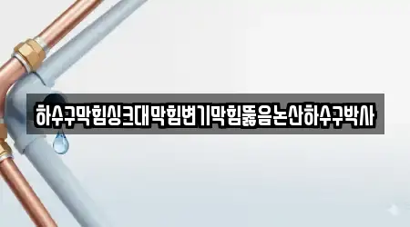 하수구막힘싱크대막힘변기막힘뚫음논산하수구박사