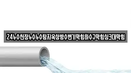 24누수천장누수누수탐지옥상방수변기막힘하수구막힘싱크대막힘