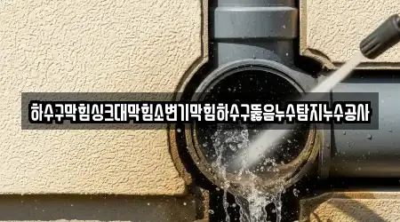 하수구막힘싱크대막힘소변기막힘하수구뚫음누수탐지누수공사