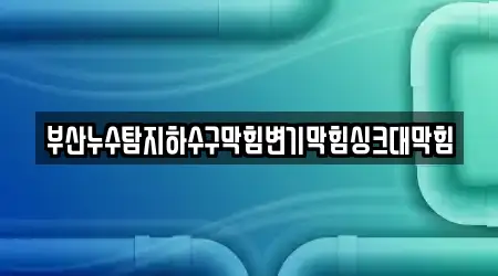 부산누수탐지하수구막힘변기막힘싱크대막힘