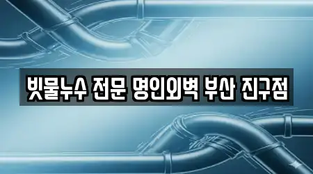 빗물누수 전문 명인외벽 부산 진구점