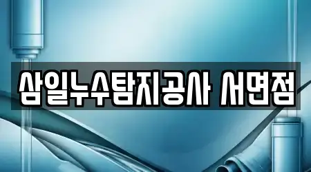 삼일누수탐지공사 서면점