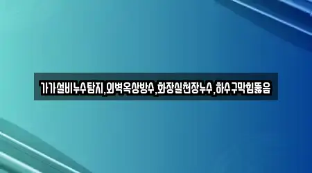 가가설비누수탐지,외벽옥상방수,화장실천장누수,하수구막힘뚫음