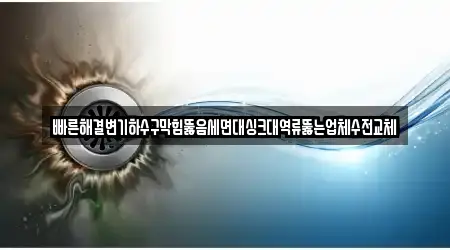 빠른해결변기하수구막힘뚫음세면대싱크대역류뚫는업체수전교체