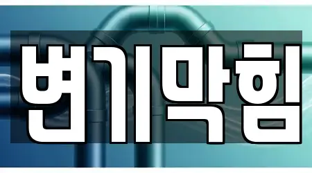 하수구막힘,변기막힘,하수구뚫음,누수탐지,싱크대막힘 전문 9 서울 옥천동 안내