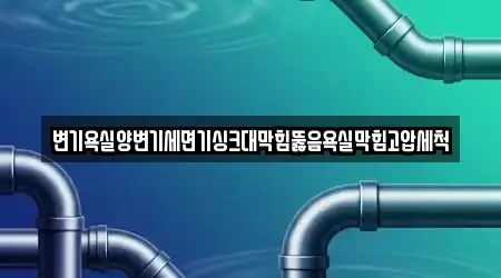 변기욕실양변기세면기싱크대막힘뚫음욕실막힘고압세척