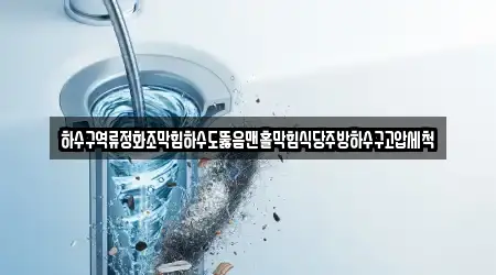 하수구역류정화조막힘하수도뚫음맨홀막힘식당주방하수구고압세척