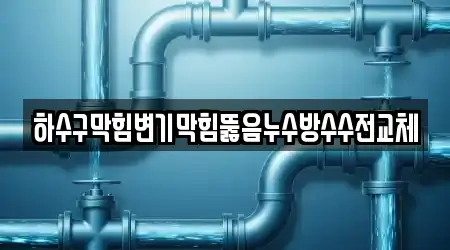 하수구막힘변기막힘뚫음누수방수수전교체
