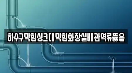 하수구막힘싱크대막힘화장실배관역류뚫음