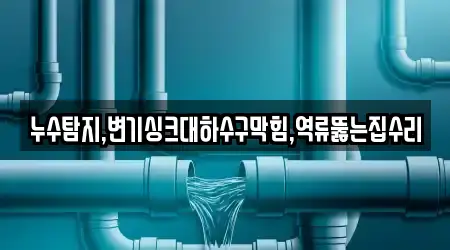 누수탐지,변기싱크대하수구막힘,역류뚫는집수리