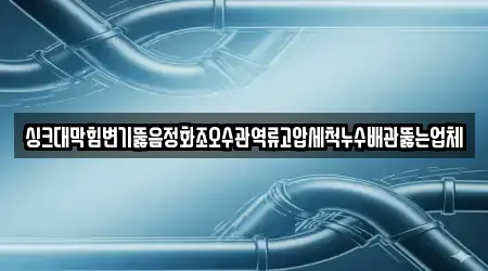 싱크대막힘변기뚫음정화조오수관역류고압세척누수배관뚫는업체
