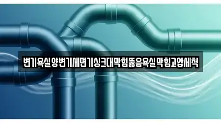 변기욕실양변기세면기싱크대막힘뚫음욕실막힘고압세척
