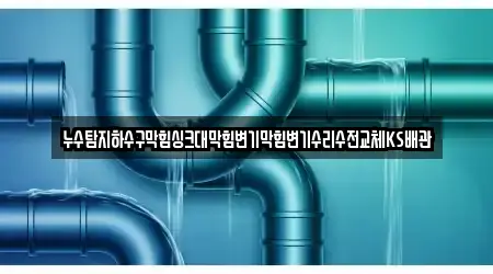 누수탐지하수구막힘싱크대막힘변기막힘변기수리수전교체KS배관
