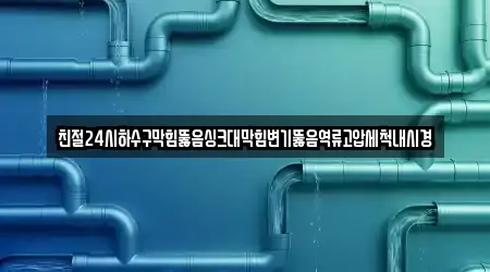 친절24시하수구막힘뚫음싱크대막힘변기뚫음역류고압세척내시경
