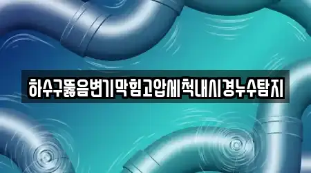 하수구뚫음변기막힘고압세척내시경누수탐지