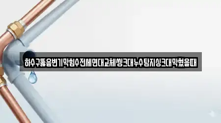 하수구뚫음변기막힘수전세면대교체씽크대누수탐지싱크대막혔을때