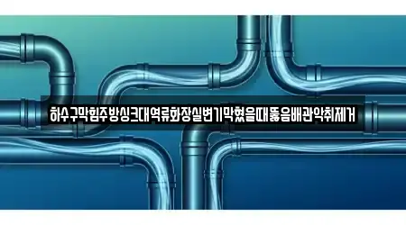 하수구막힘주방싱크대역류화장실변기막혔을때뚫음배관악취제거