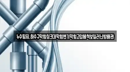 누수탐지.하수구막힘싱크대막힘변기막힘고압세척보일러난방배관