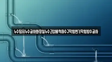 누수탐지누수공사화장실누수고압세척하수구막힘변기막힘방수공사
