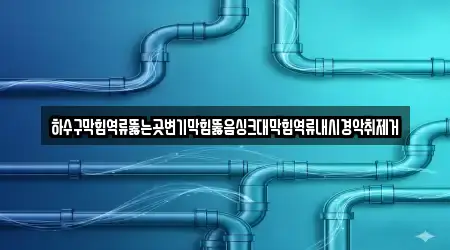 하수구막힘역류뚫는곳변기막힘뚫음싱크대막힘역류내시경악취제거