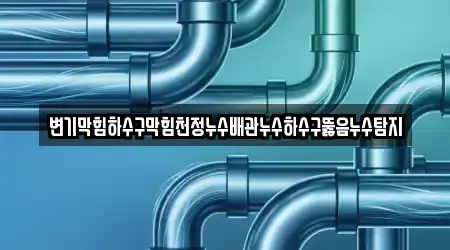 변기막힘하수구막힘천정누수배관누수하수구뚫음누수탐지