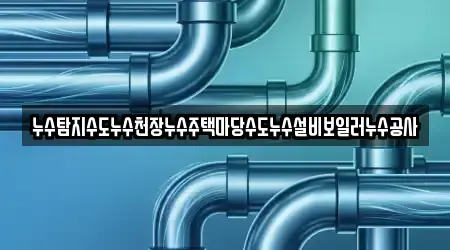 누수탐지수도누수천장누수주택마당수도누수설비보일러누수공사