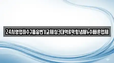 24시영업하수구뚫음변기교체싱크대역류막힘냄새누수빠른업체