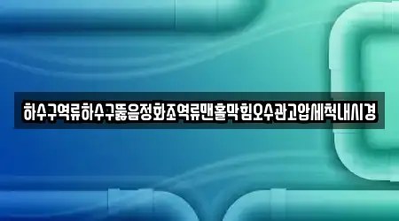 하수구역류하수구뚫음정화조역류맨홀막힘오수관고압세척내시경