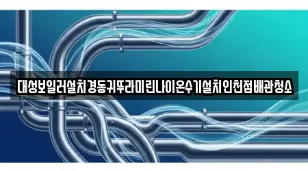 대성보일러설치경동귀뚜라미린나이온수기설치인천점배관청소