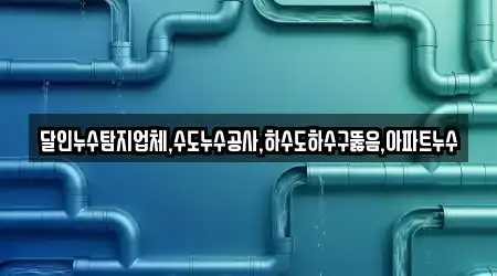 달인누수탐지업체,수도누수공사,하수도하수구뚫음,아파트누수