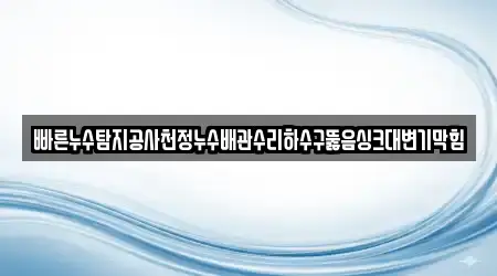빠른누수탐지공사천정누수배관수리하수구뚫음싱크대변기막힘