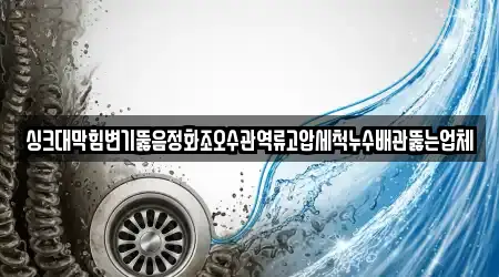 싱크대막힘변기뚫음정화조오수관역류고압세척누수배관뚫는업체