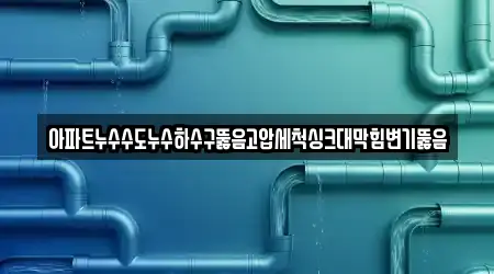 변기뚫음,하수구막힘,누수,하수구뚫음,싱크대막힘 11곳 네이버지도 전남 나주 다시면