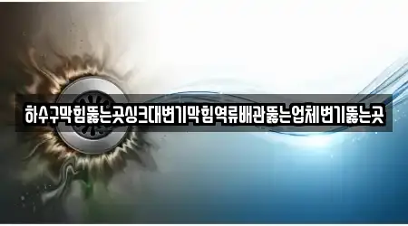 하수구막힘뚫는곳싱크대변기막힘역류배관뚫는업체변기뚫는곳