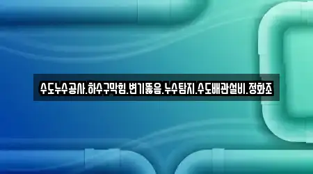 수도누수공사.하수구막힘.변기뚫음.누수탐지.수도배관설비.정화조